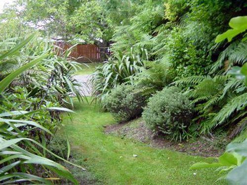 Turangi Trout Lodge Exteriér fotografie
